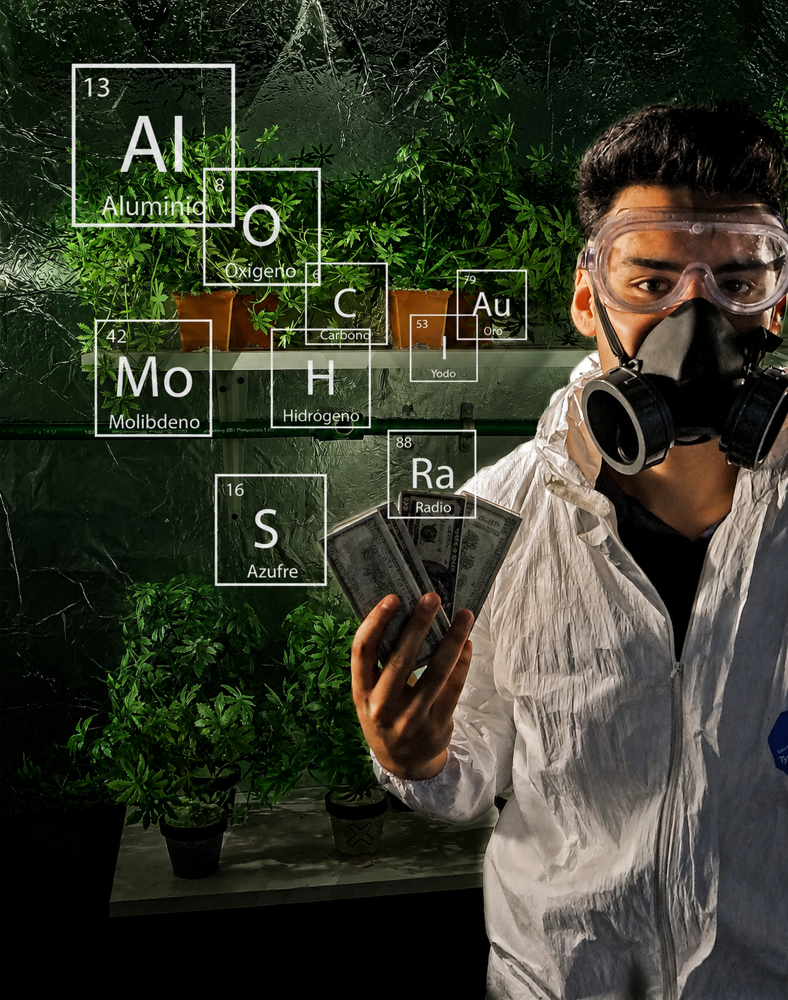 Narco Lab